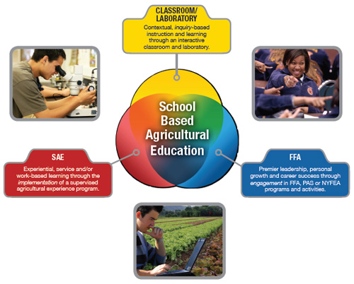 3 circle model