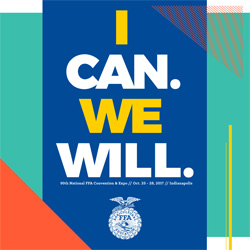 I can. We will.